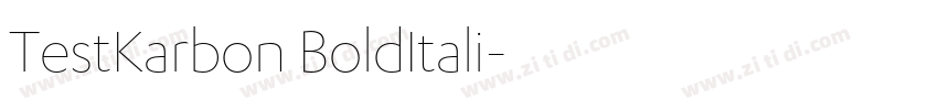 TestKarbon BoldItali字体转换 TestKarbon BoldItali字体转换